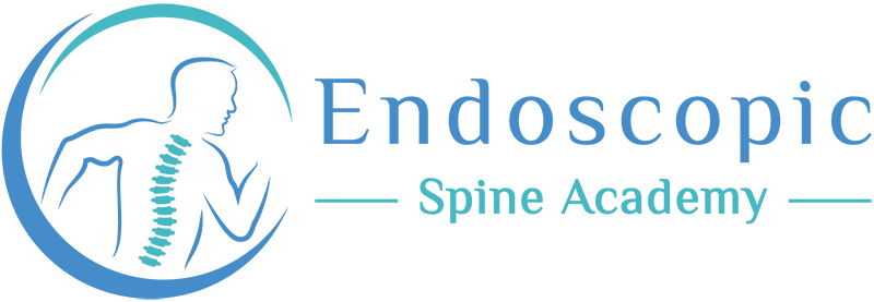 Endoscopic Spine Academy