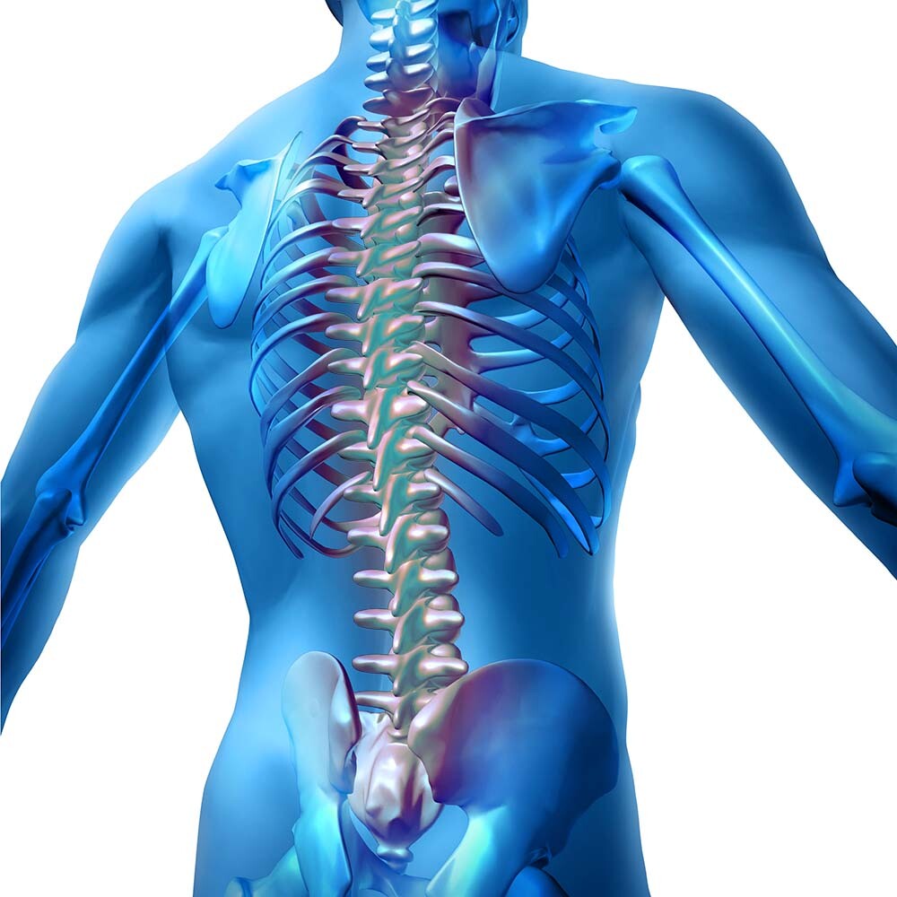 back pain graphic illustration